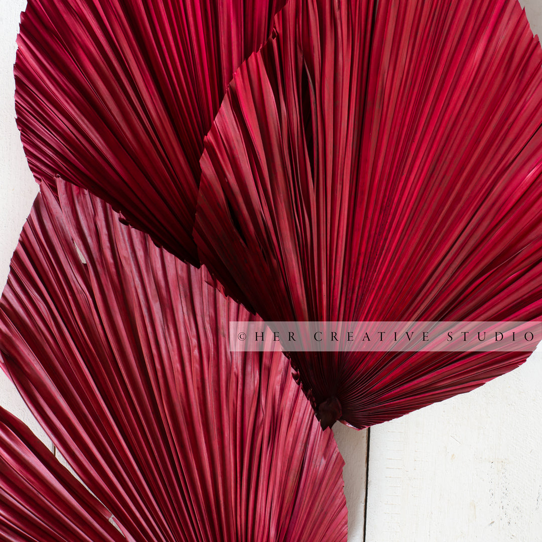 Dried Leaf Burgundy
