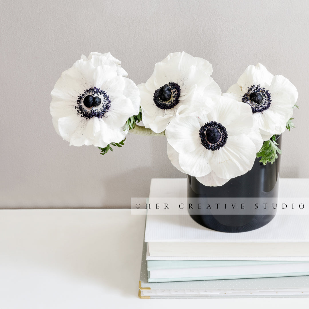 Anemone in a Vase on Books, Styled Image