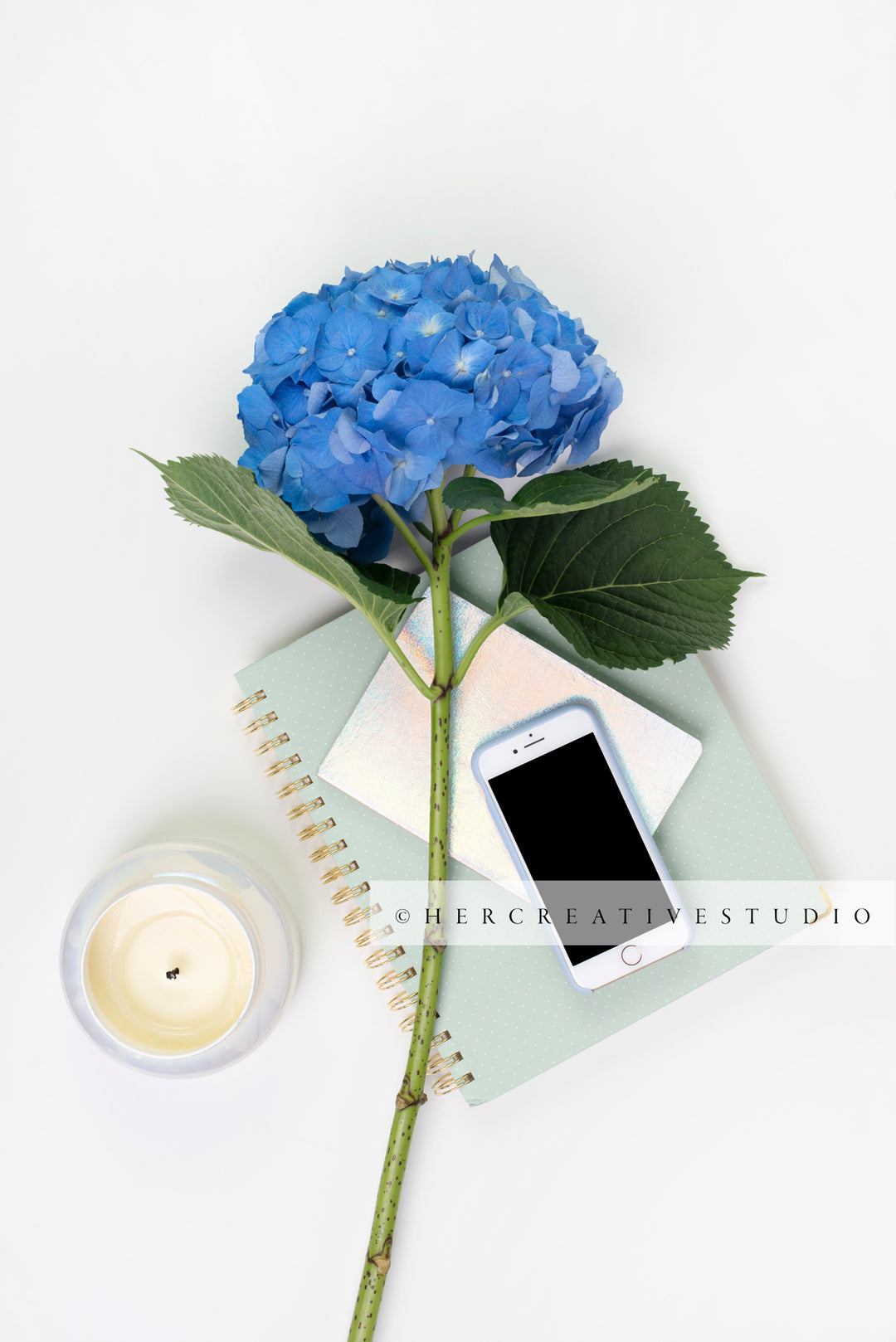Blue Hydrangea with Smartphone