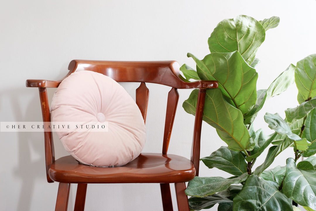 Brown Chair, Pink Pillow with Monstera Plant. Digital Image.
