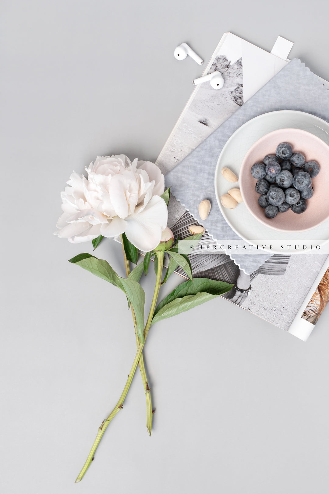 Peony and Bluberries on Grey Workspace. Stock Image