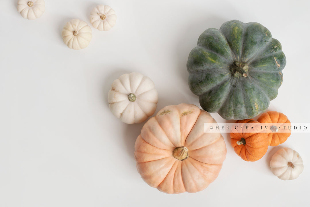Fall Pumpkin on White Background 8. Digital Stock Image.