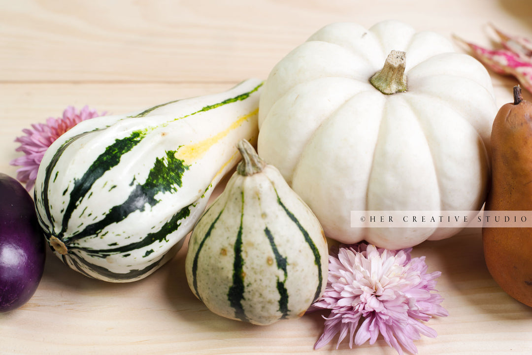 White Pumpkin & Gourds on Wooden Table