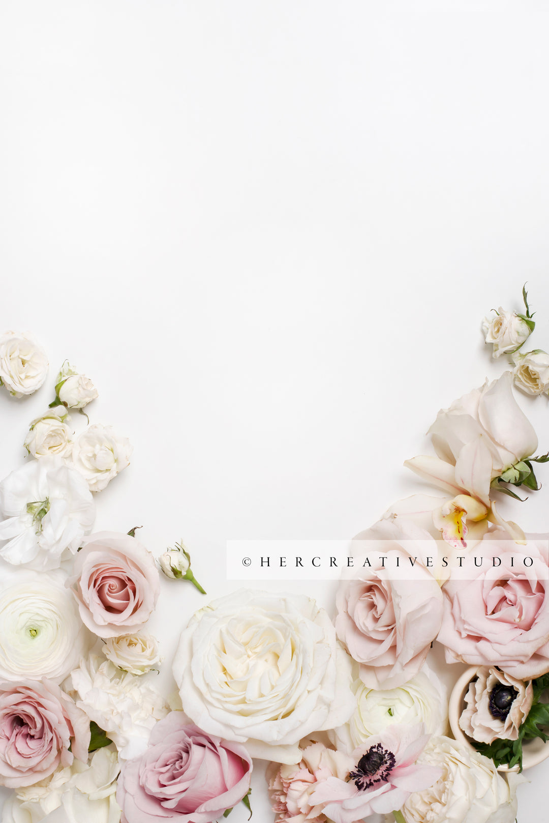Pink and White Flowers on White Background, Styled Stock Image