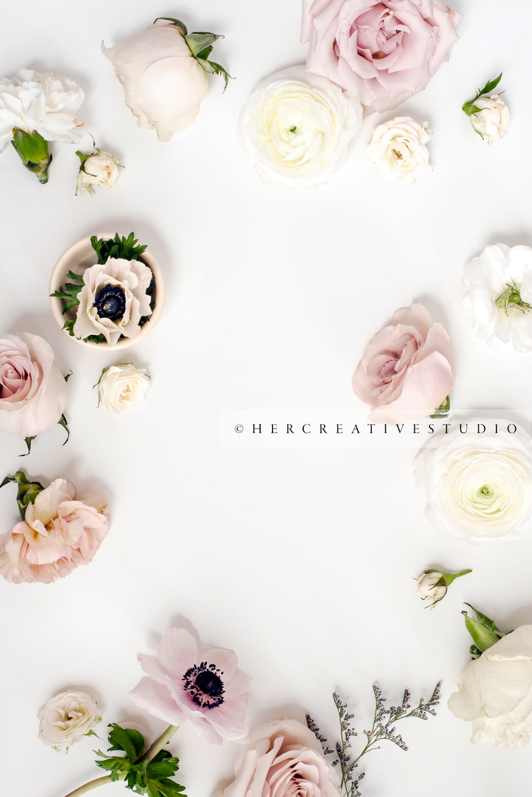 Orchids, Roses & Anemone on White Background, Styled Stock Image