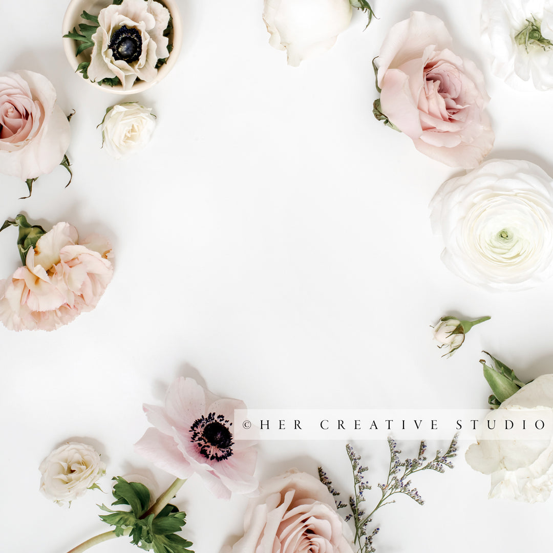 Flowers on White Background, Styled Stock Image