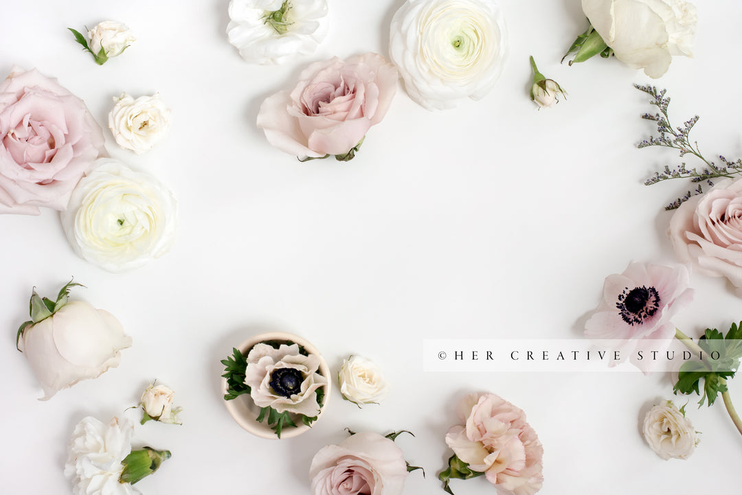 Soft, Pretty Flowers on a White Background, Stock Image