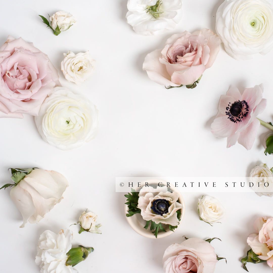 Pretty Flowers on White Background, Styled Stock Image