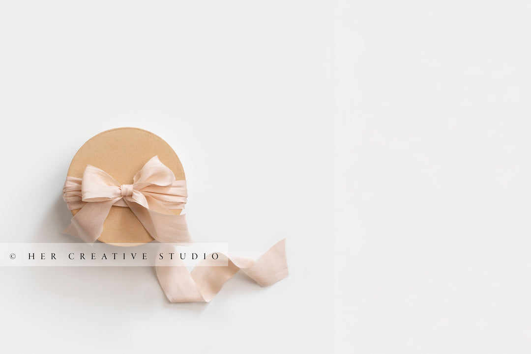 Kraft Paper Gift with Pretty Pink Silk Ribbon, Stock Image