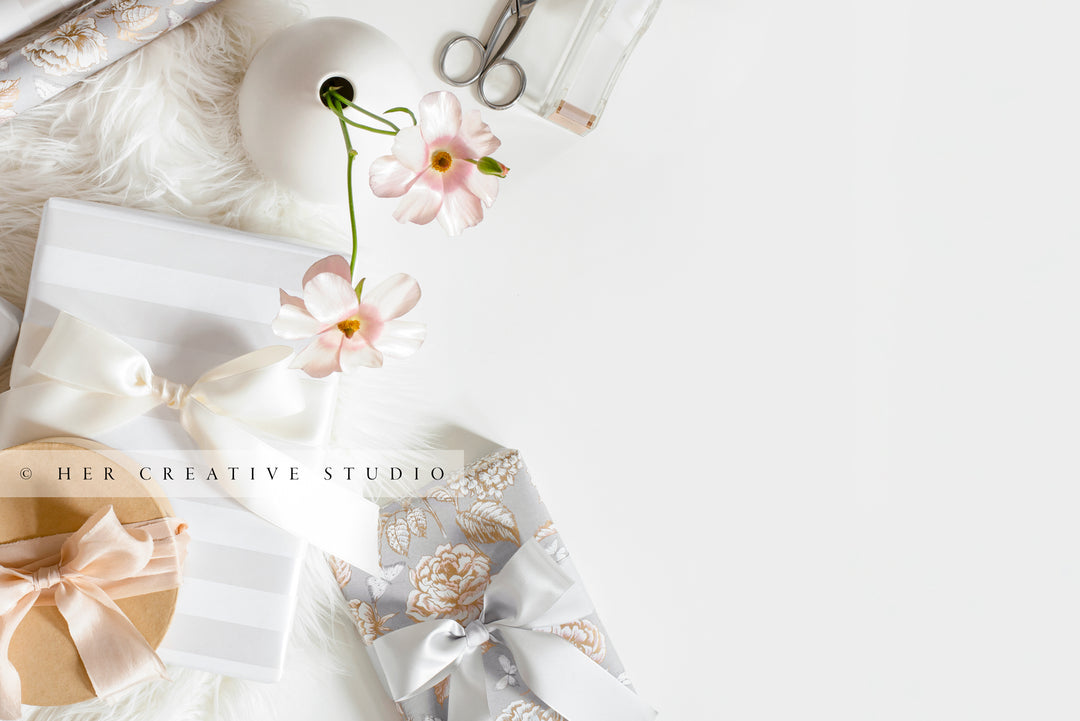 Gifts, Flowers on Faux Fur with A White Background, Stock Image