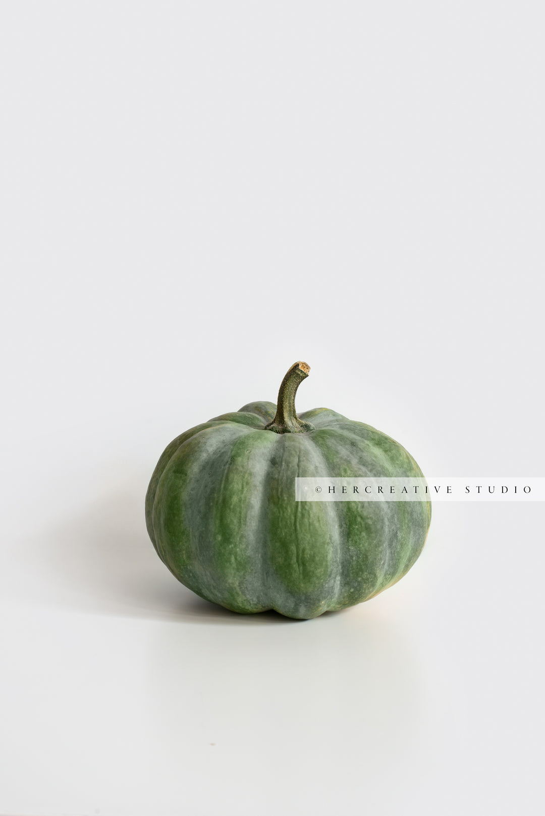Green Pumpkin on White Background 2. Digital Stock Image.
