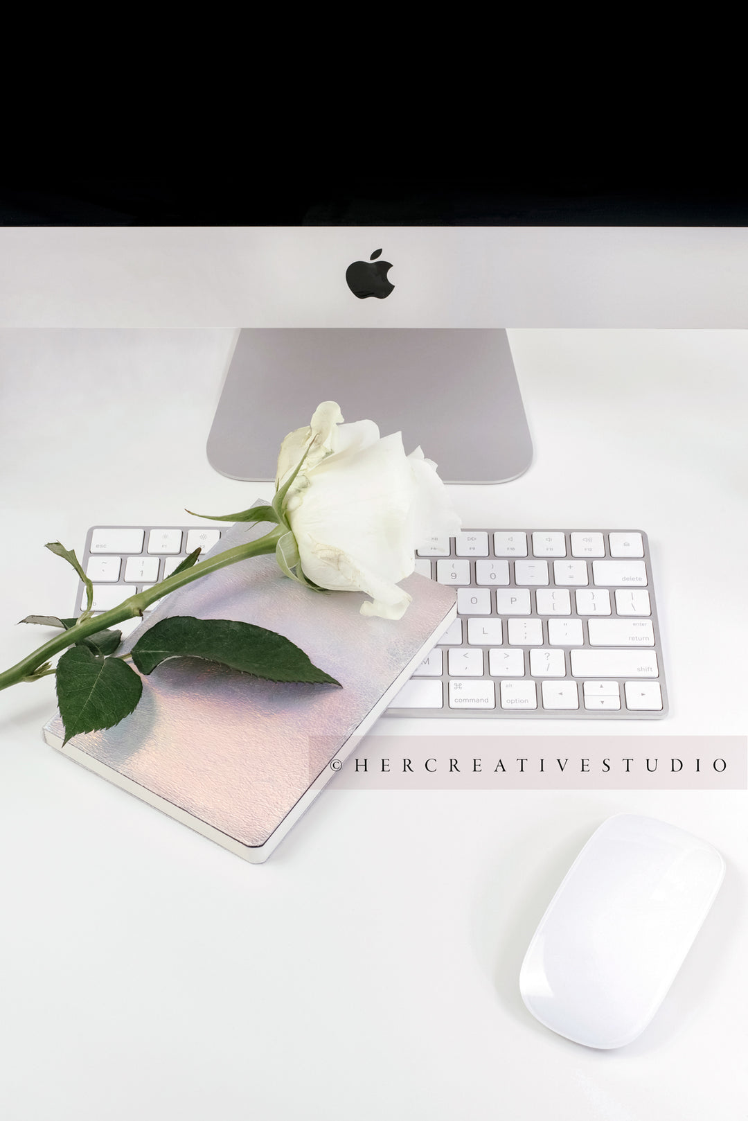 White Rose with Iridescent Notebook