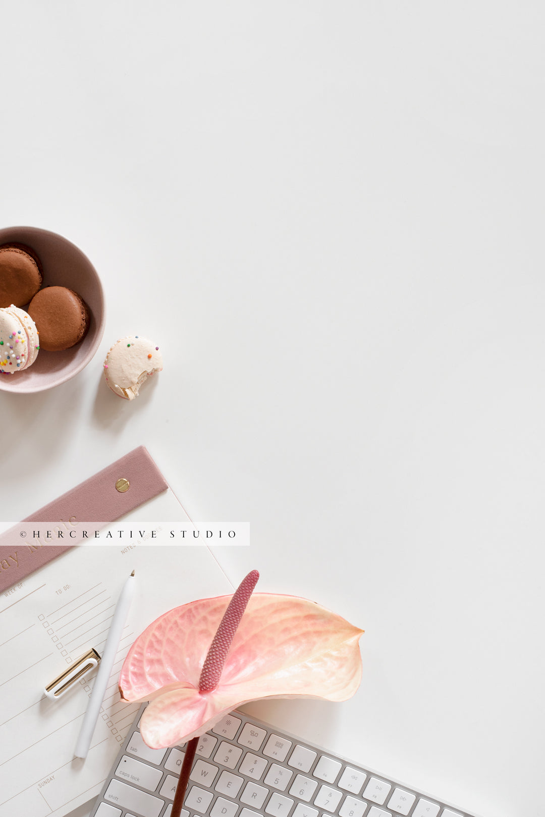 Planner, Macarons & Peace Lilly. Digital Image.