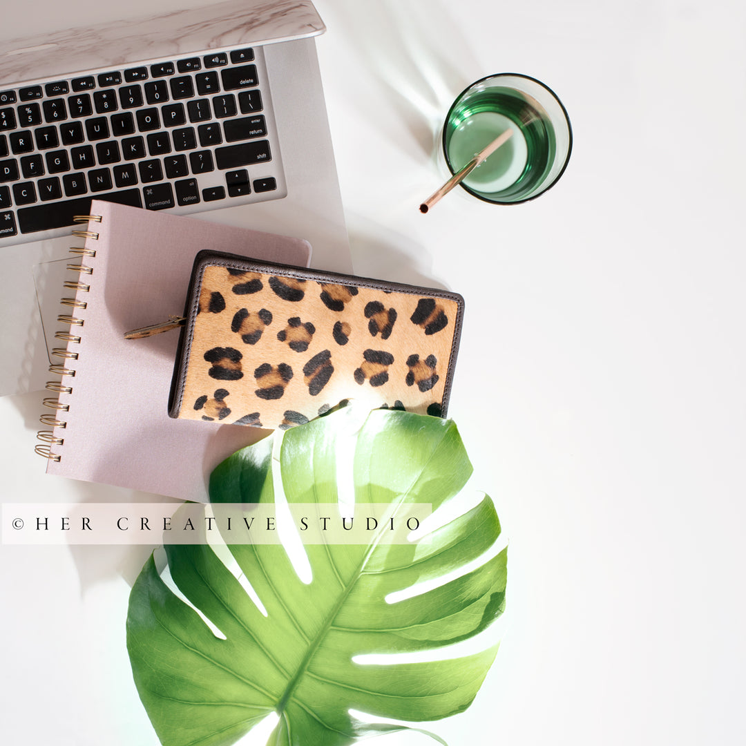 Montserra and Leopard Print and Laptop