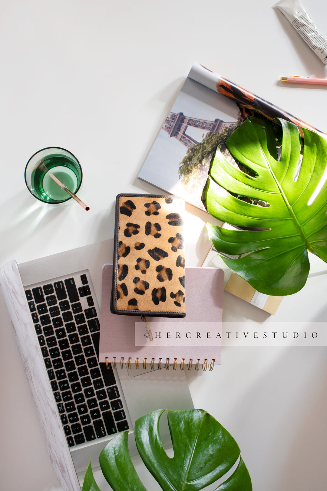 Montserra and Leopard Print and Laptop 2