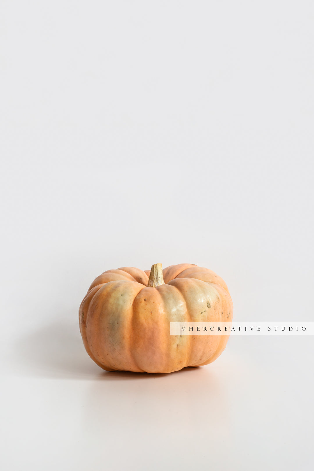 Orange Pumpkin on White Background. Digital Stock Image.
