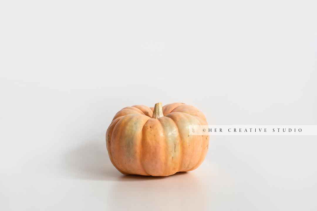 Orange Pumpkin on White Background 2. Digital Stock Image.