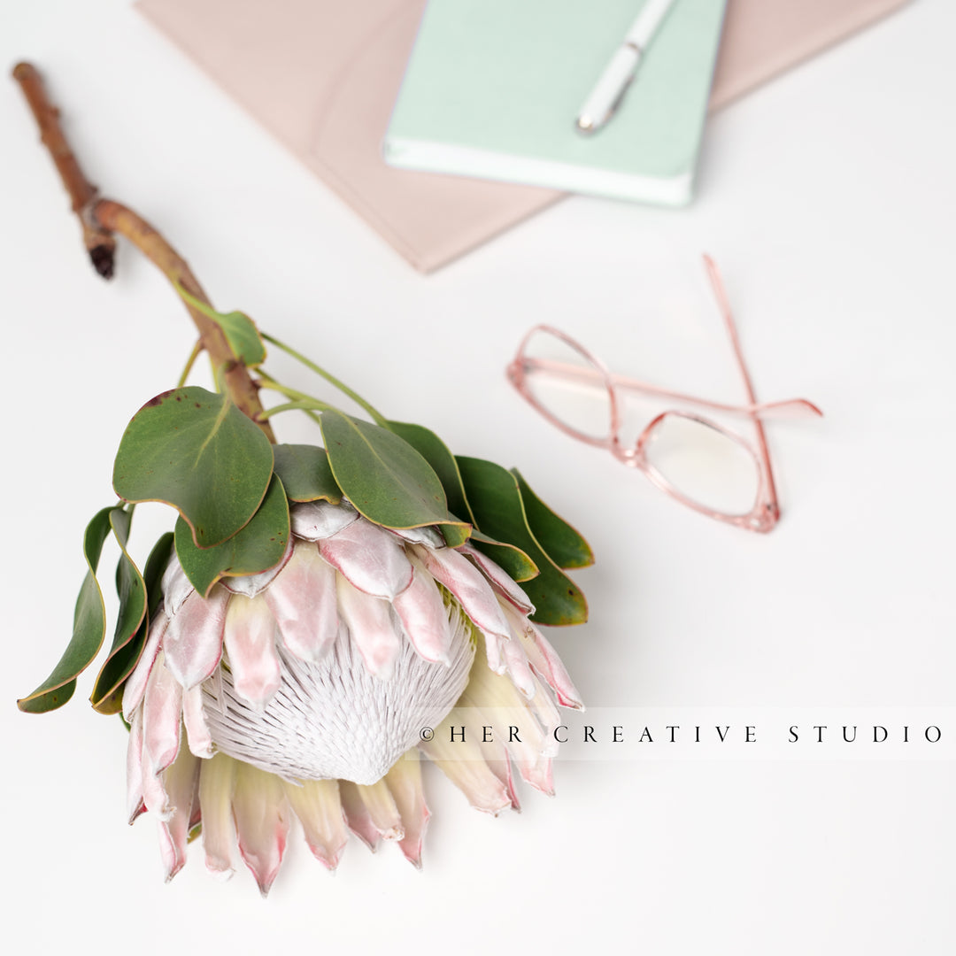Protea, Glasses & Notebook Styled Image
