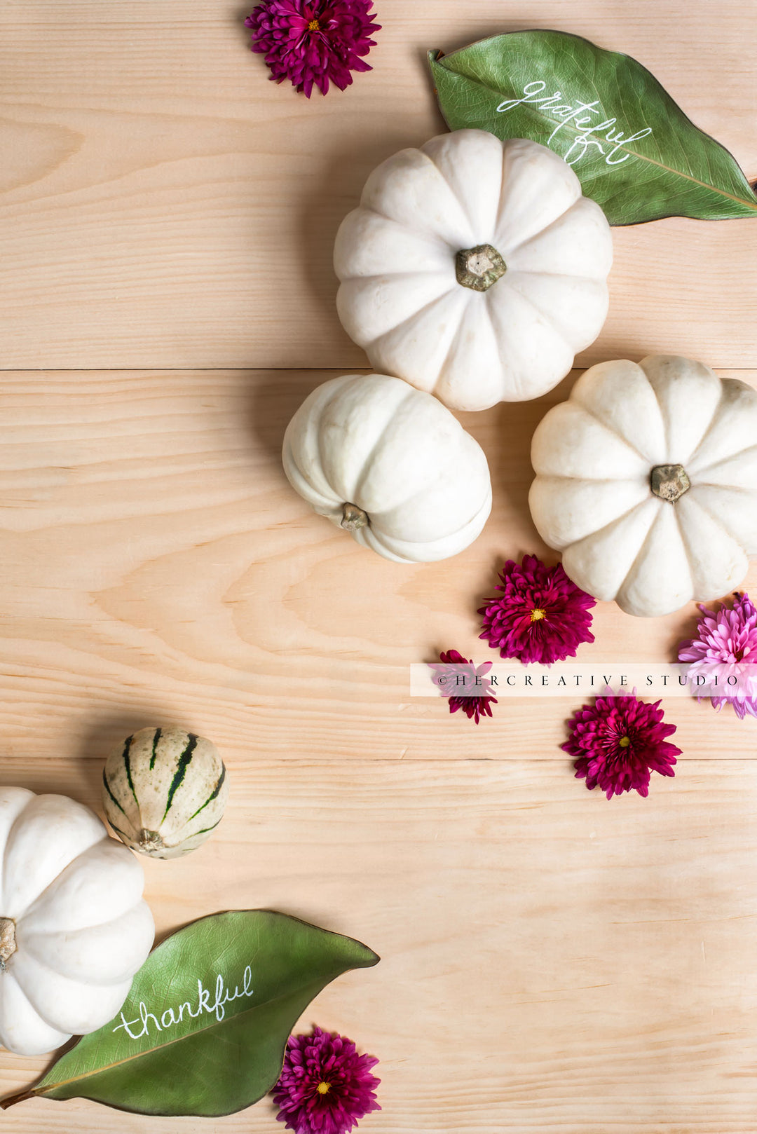 White Pumpkins, Flowers & Thankful