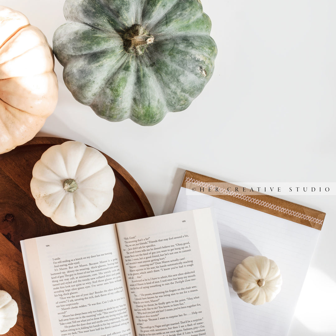 Book with Green & White Pumpkins. Digital Stock Image.