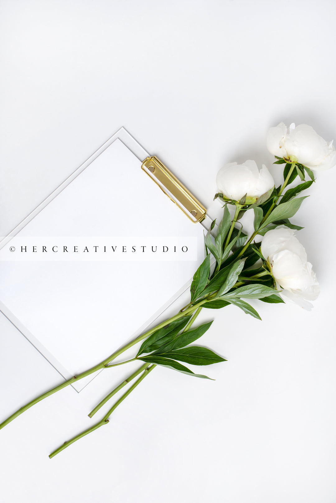 White Peonies and Clipboard