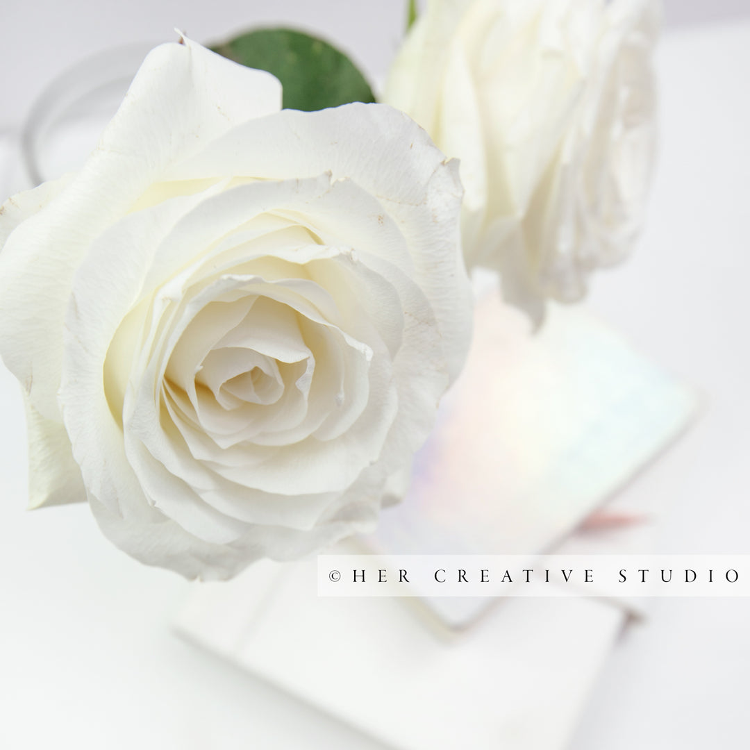 White Roses Styled Image