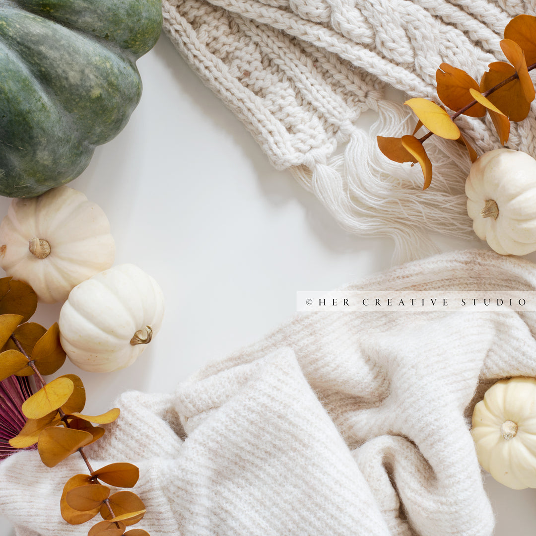 Cozy Sweaters with Green & White Pumpkins. Digital Stock Image.