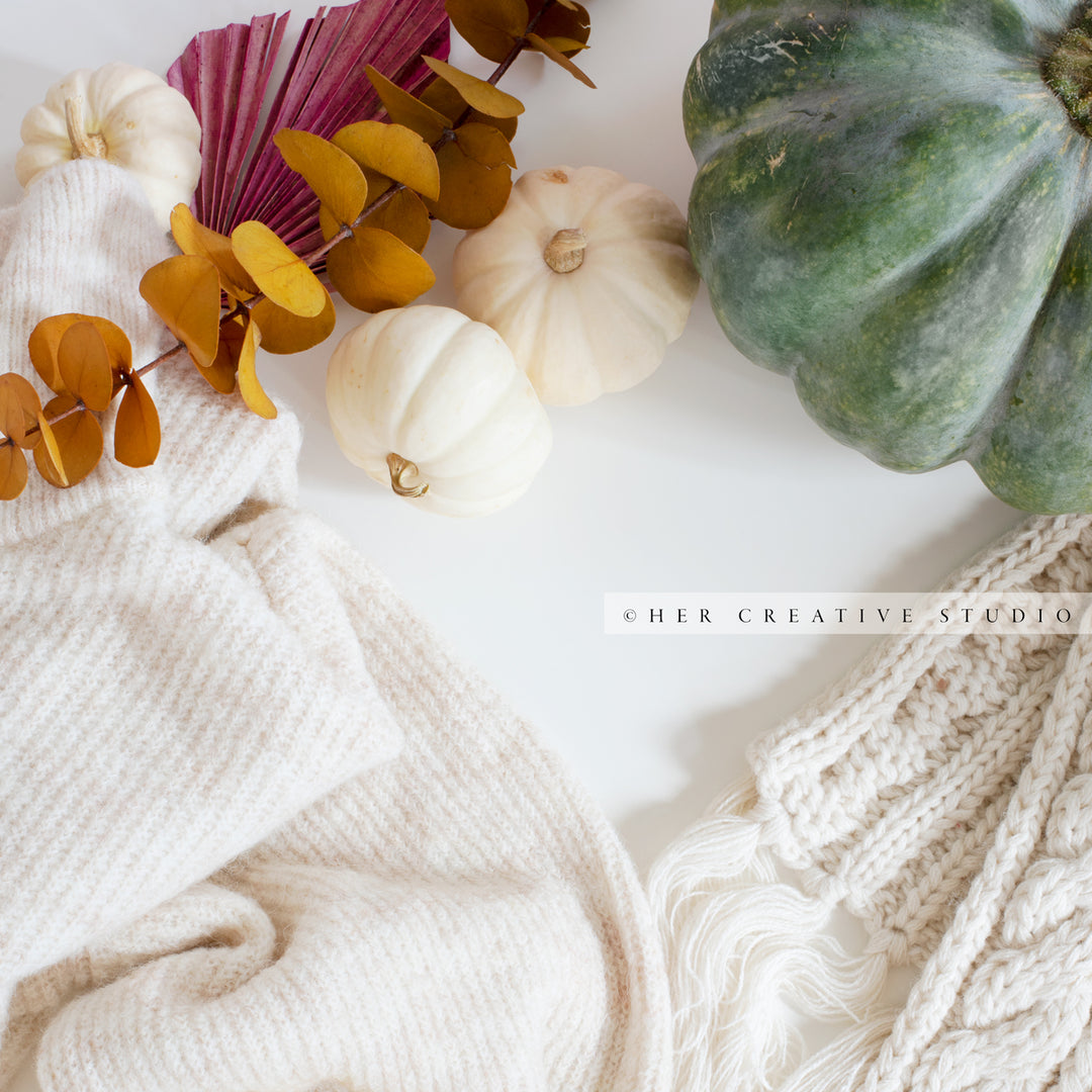 Sweaters with Green & White Pumpkins. Digital Stock Image.